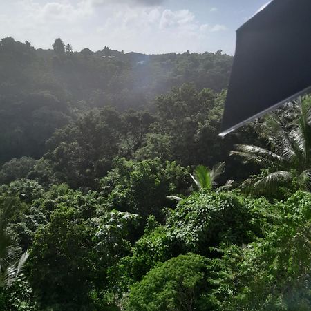 Les Manguiers Apartamento Sainte-Anne  Exterior foto